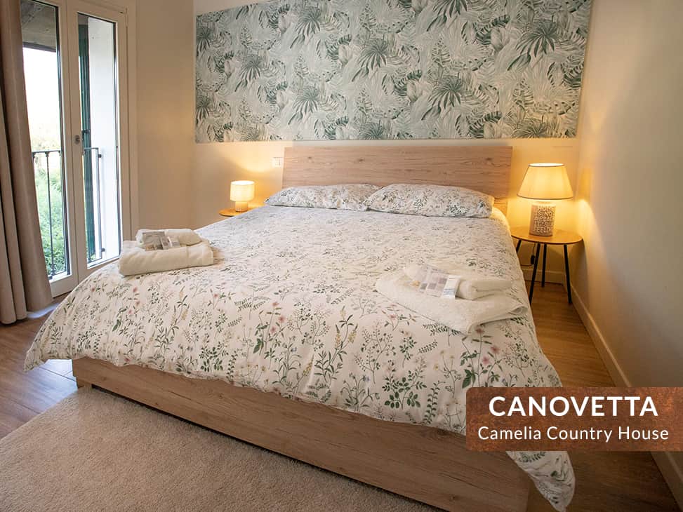 Canovetta camelia cremona 02 Canovetta camelia cremona 02