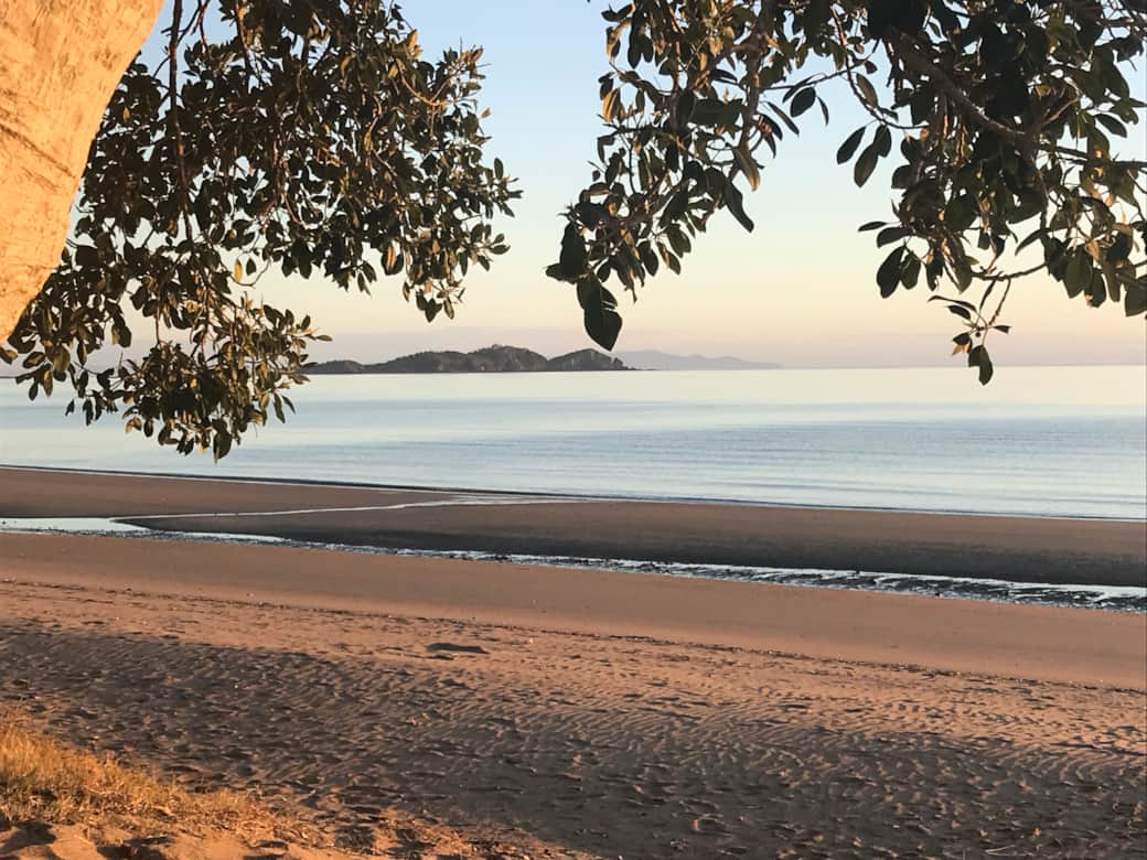 Seaforth Beach Haven - Trees on Beach 2