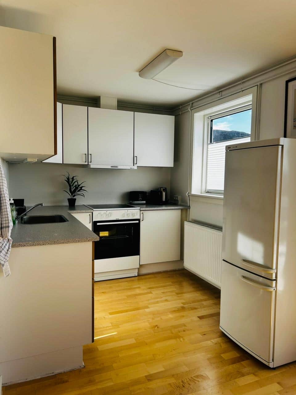 Billede 02.08.2025, 19.13 Billede 02.08.2025, 19.13