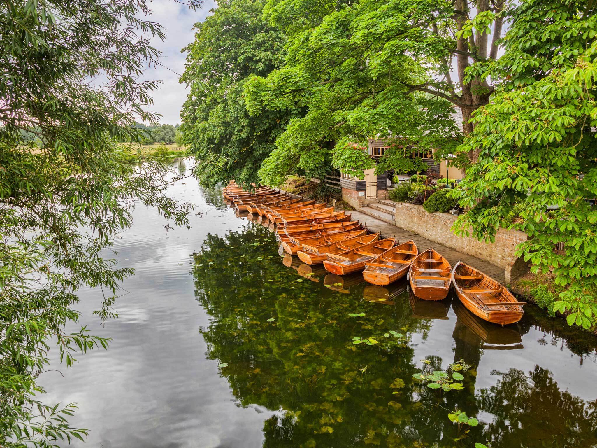 Rowing boats on river at Dedham