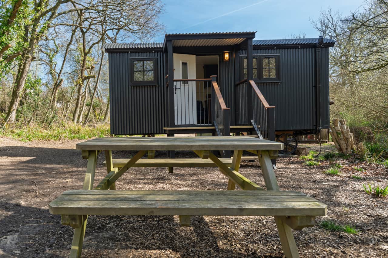 Bluebell Wood External