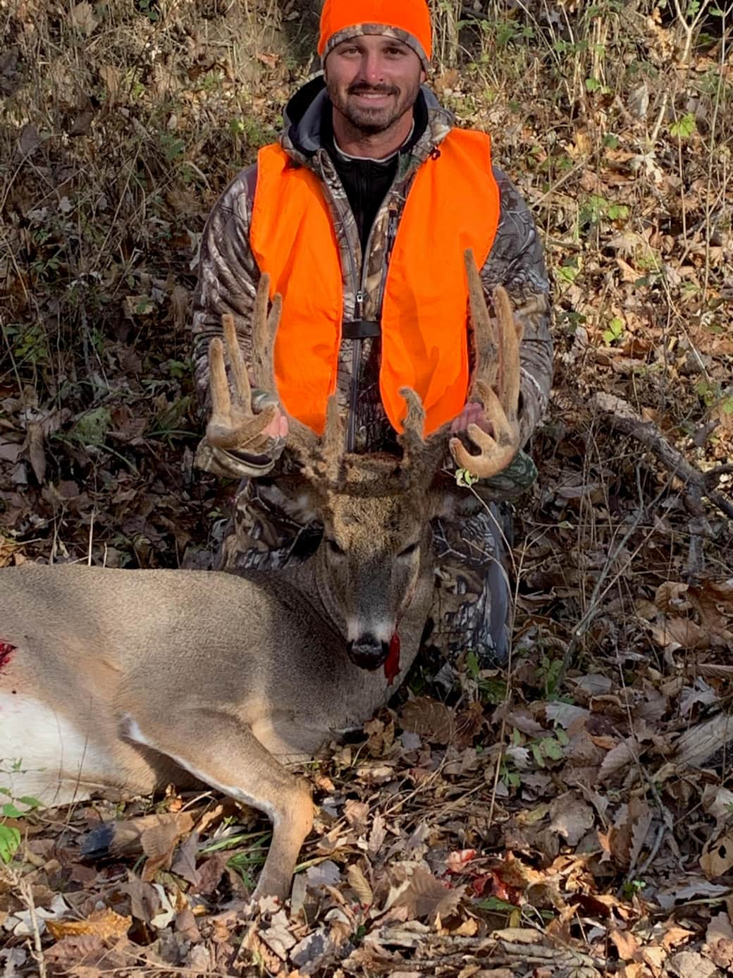 Deer 6