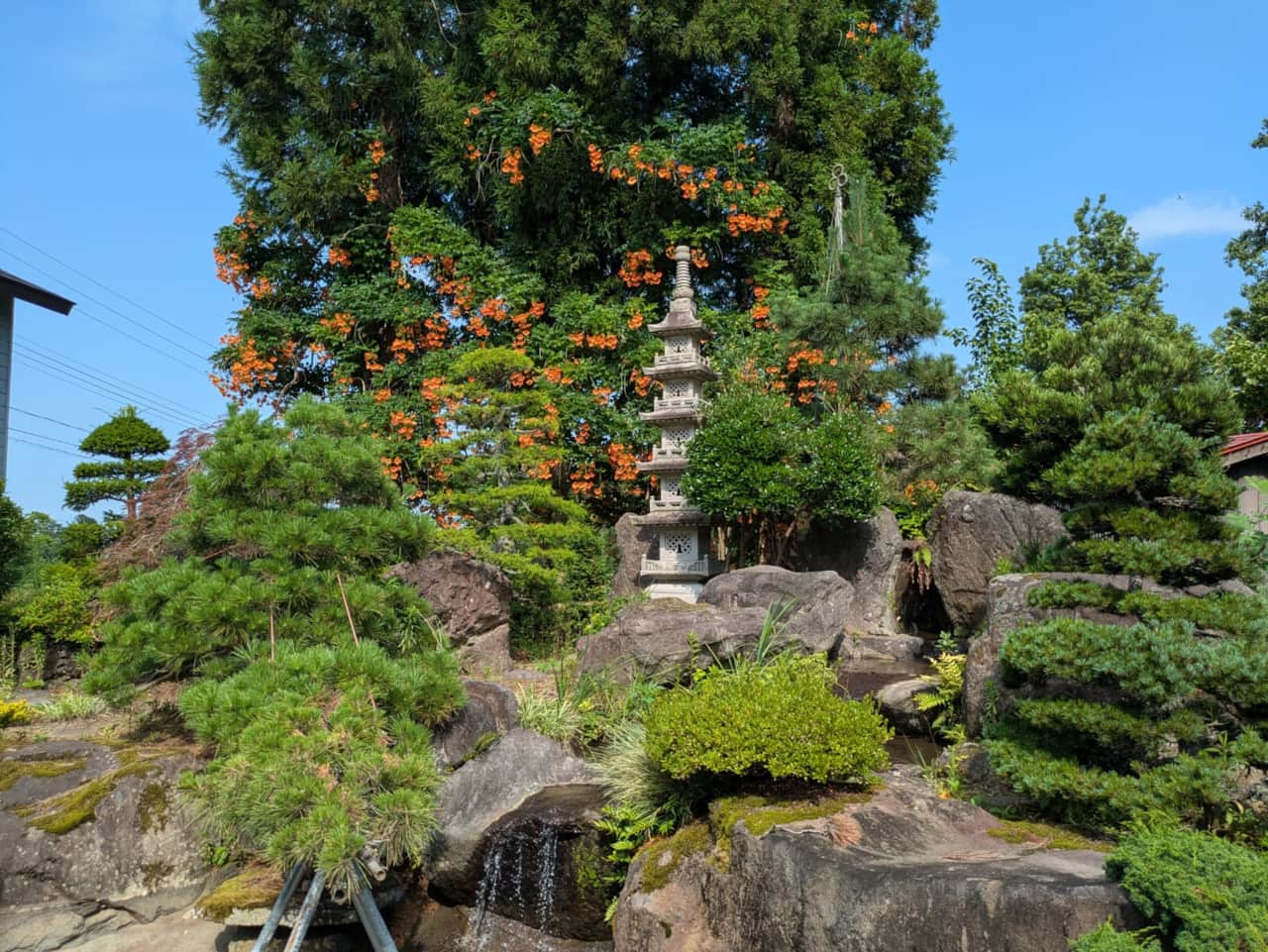 Garden2