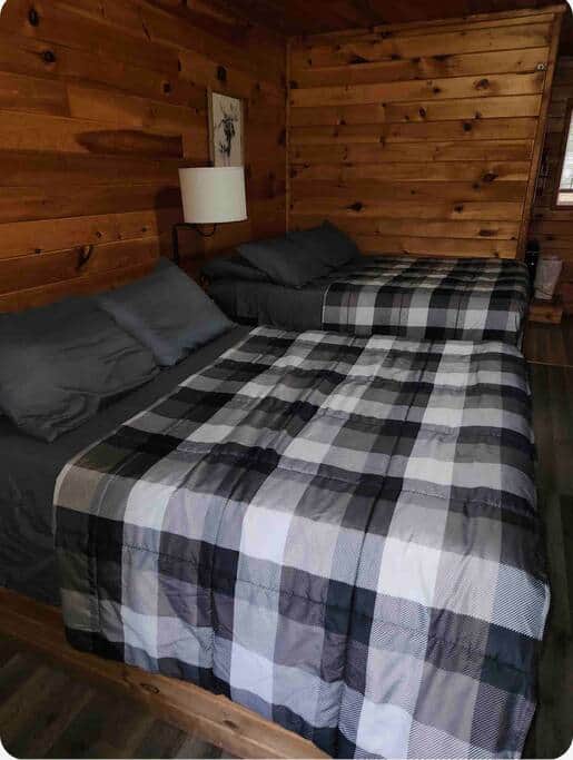 2 Full Size Beds 