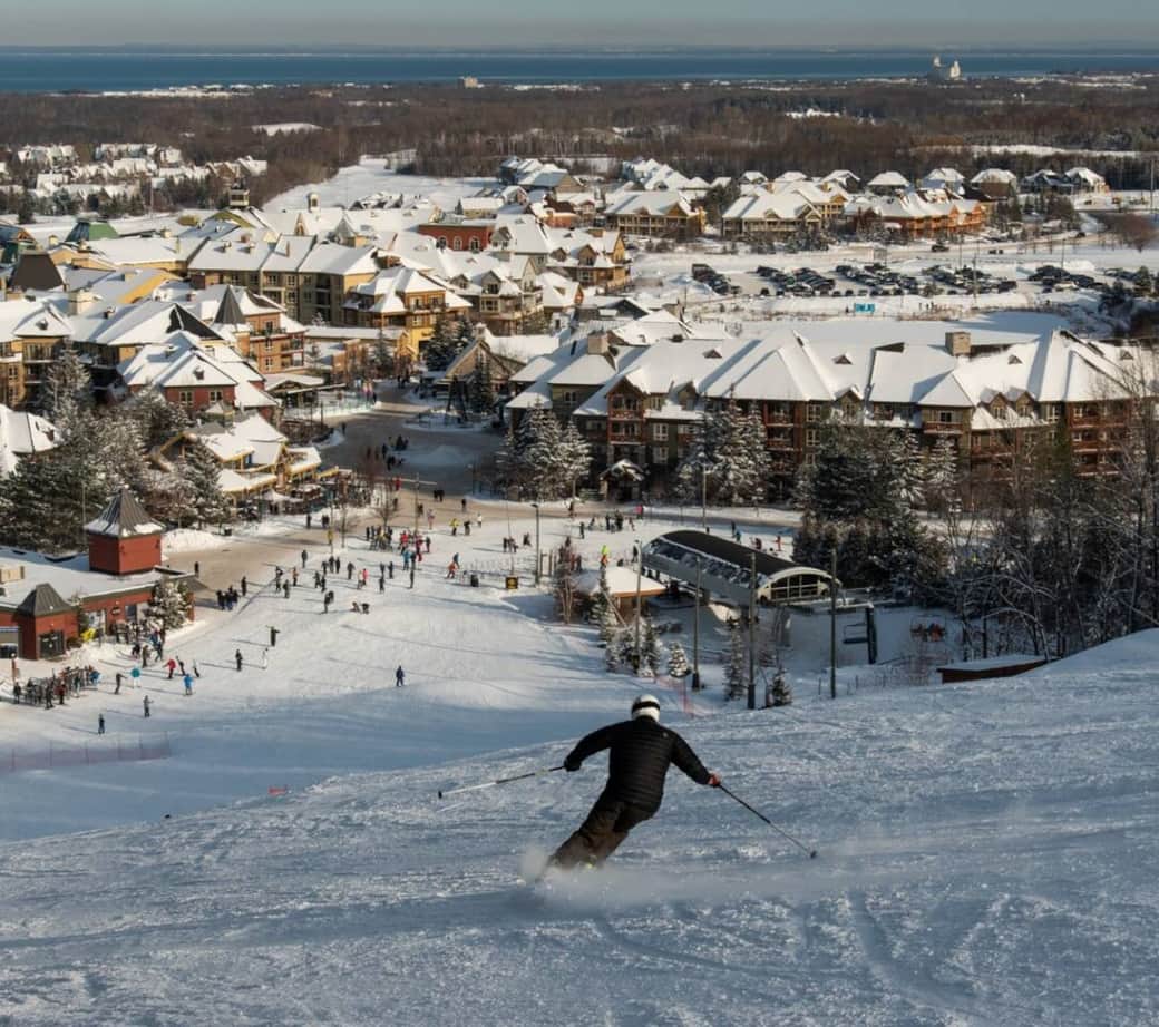 20-Min drive to Blue Mountain Ski Resorts
