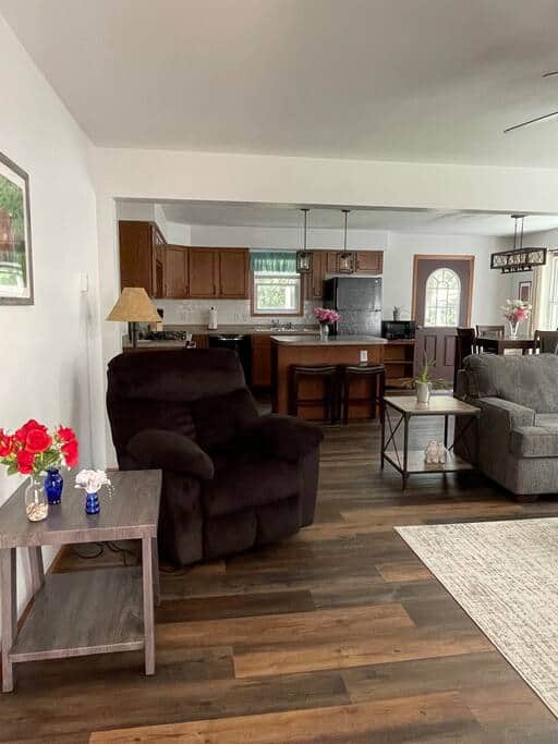 living room / kitchen