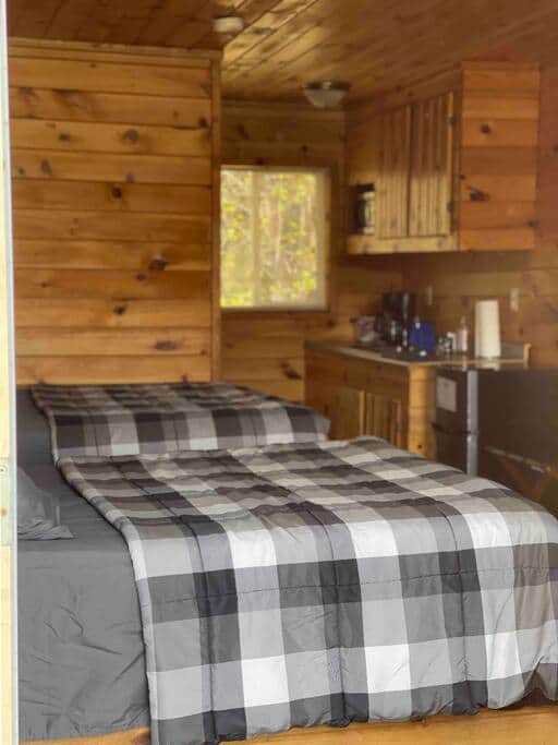Ruth Lake Resort Cabin 4 Room in Spurr Township