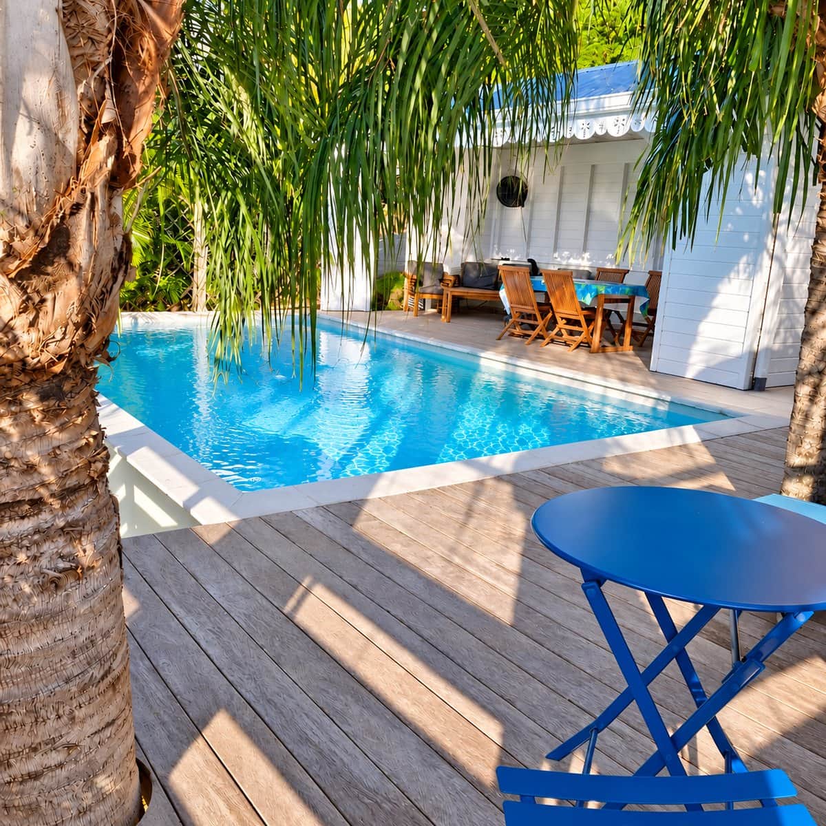 Vue d'ensemble du jardin tropical et de la piscine de la Villa Fleurs à Papillons