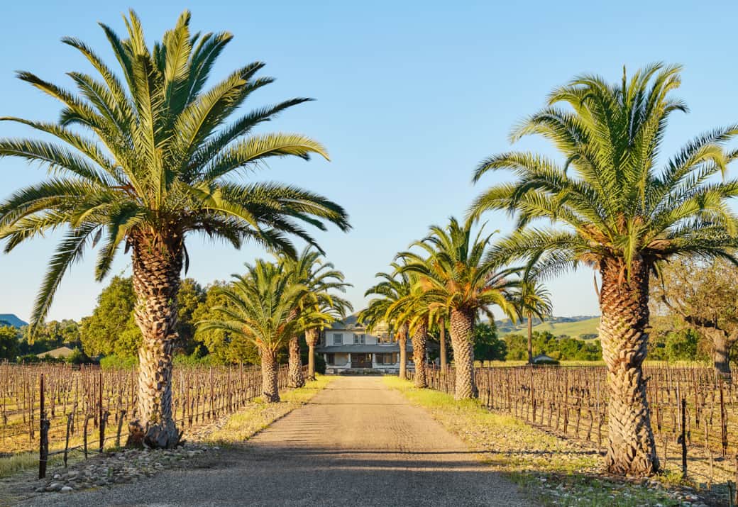 Front Driveway