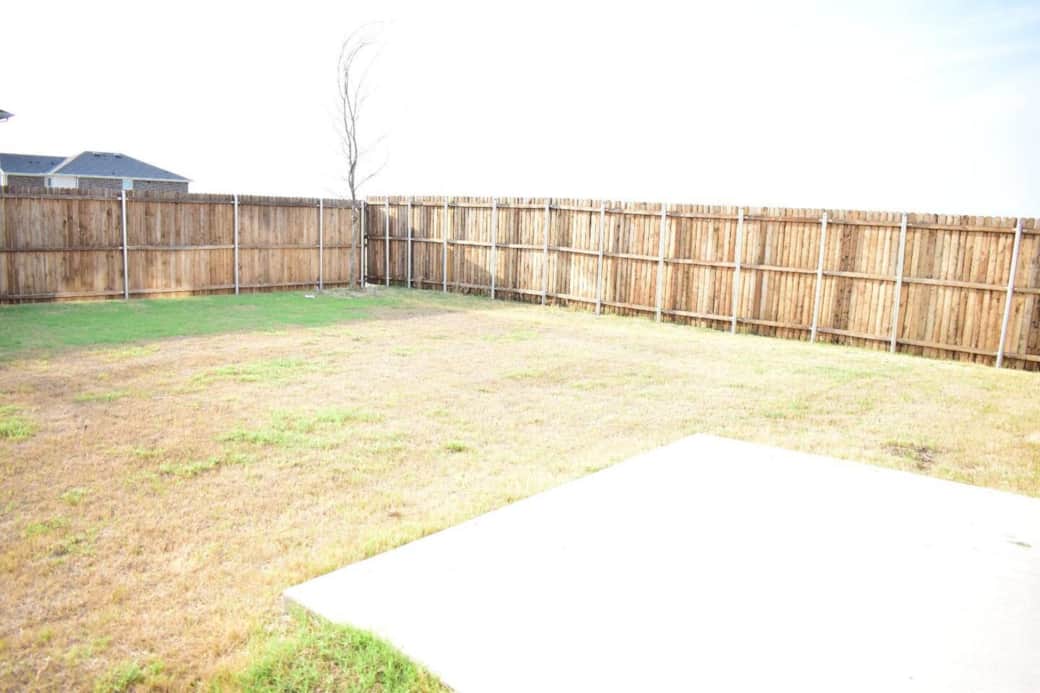 Backyard