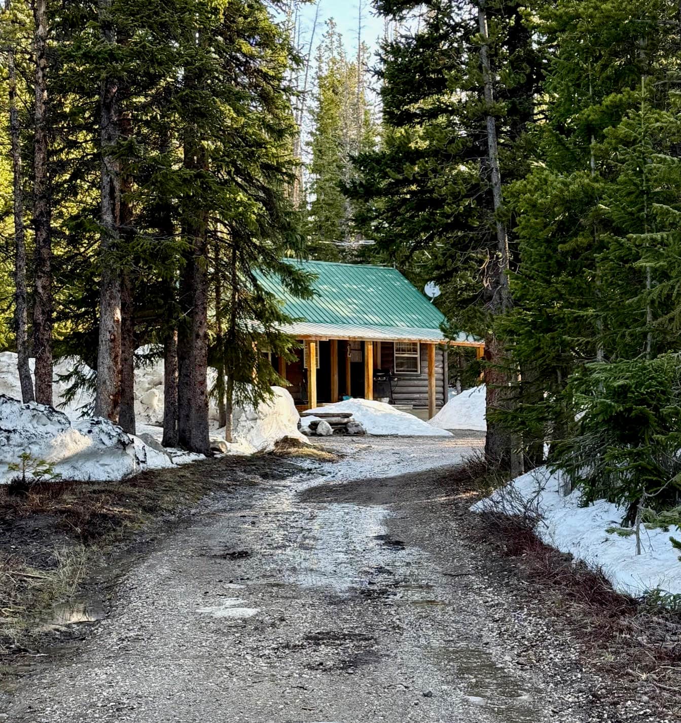 Cabin road through trees