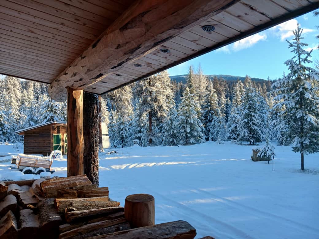 Front porch with snow view