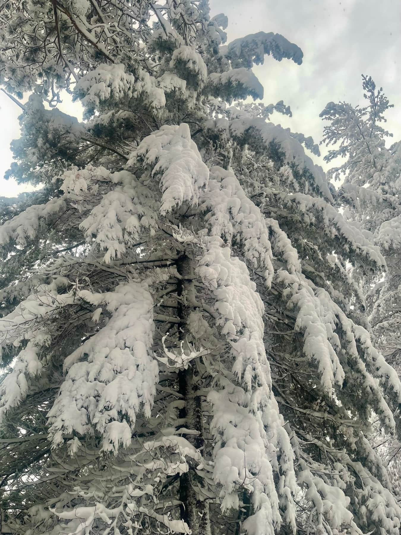 https://l.icdbcdn.com/oh/59815263-2977-489f-9dd6-4e0d3f51b5e1.jpg?w=2080-2