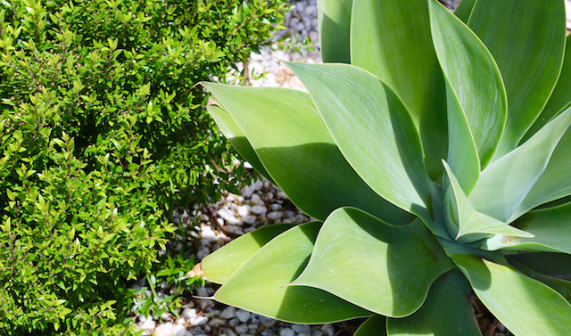 Robe, South Australia