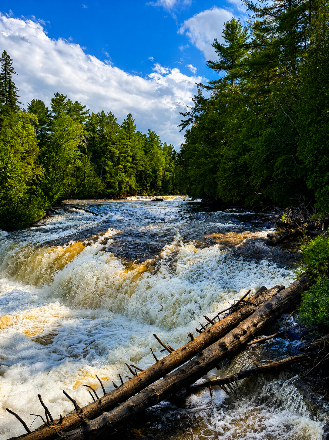THE ADVENTURE - Trails, lighthouses, waterfalls, the Upper Peninsula and some of Northern Michigan's best day trips are within easy reach. THE ADVENTURE - Trails, lighthouses, waterfalls, the Upper Peninsula and some of Northern Michigan's best day trips are within easy reach.