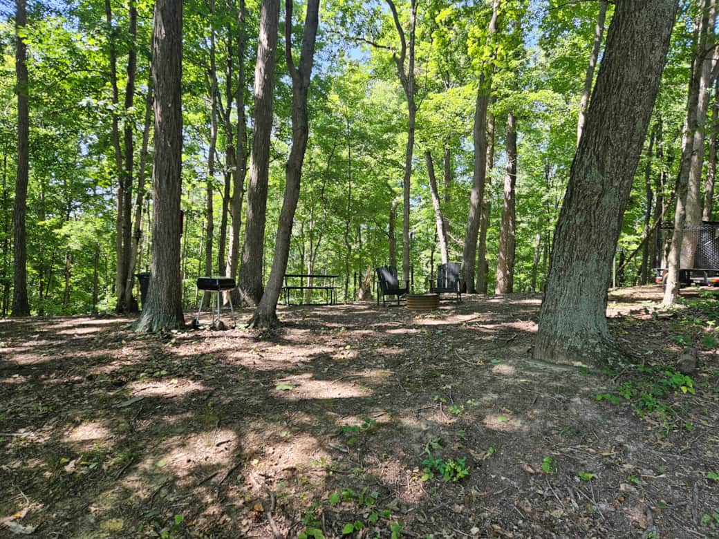 Large Site Large Site