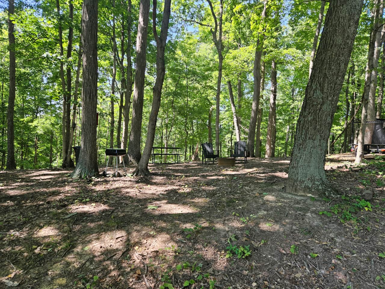 Large Site