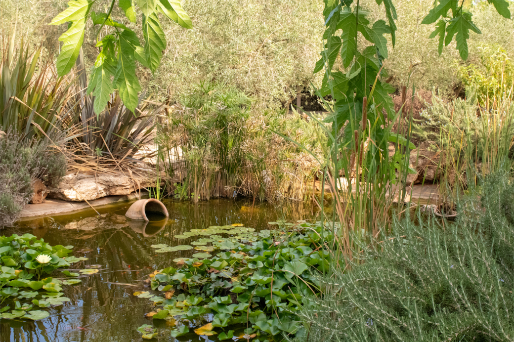 Teich