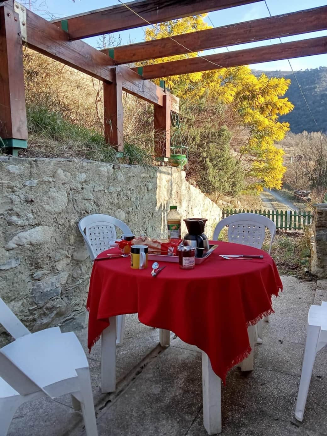 terrasse et barbecue 