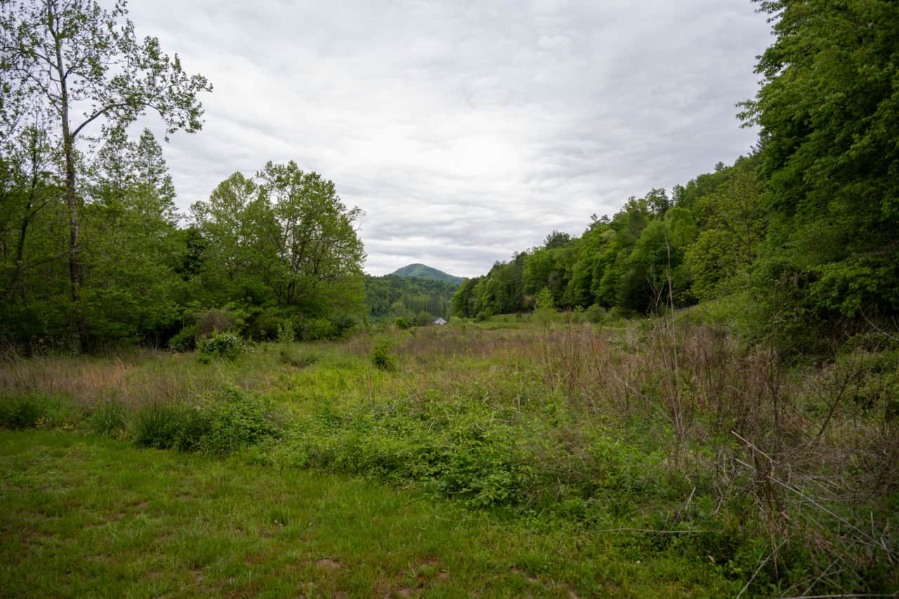 DSC_1020.jpg