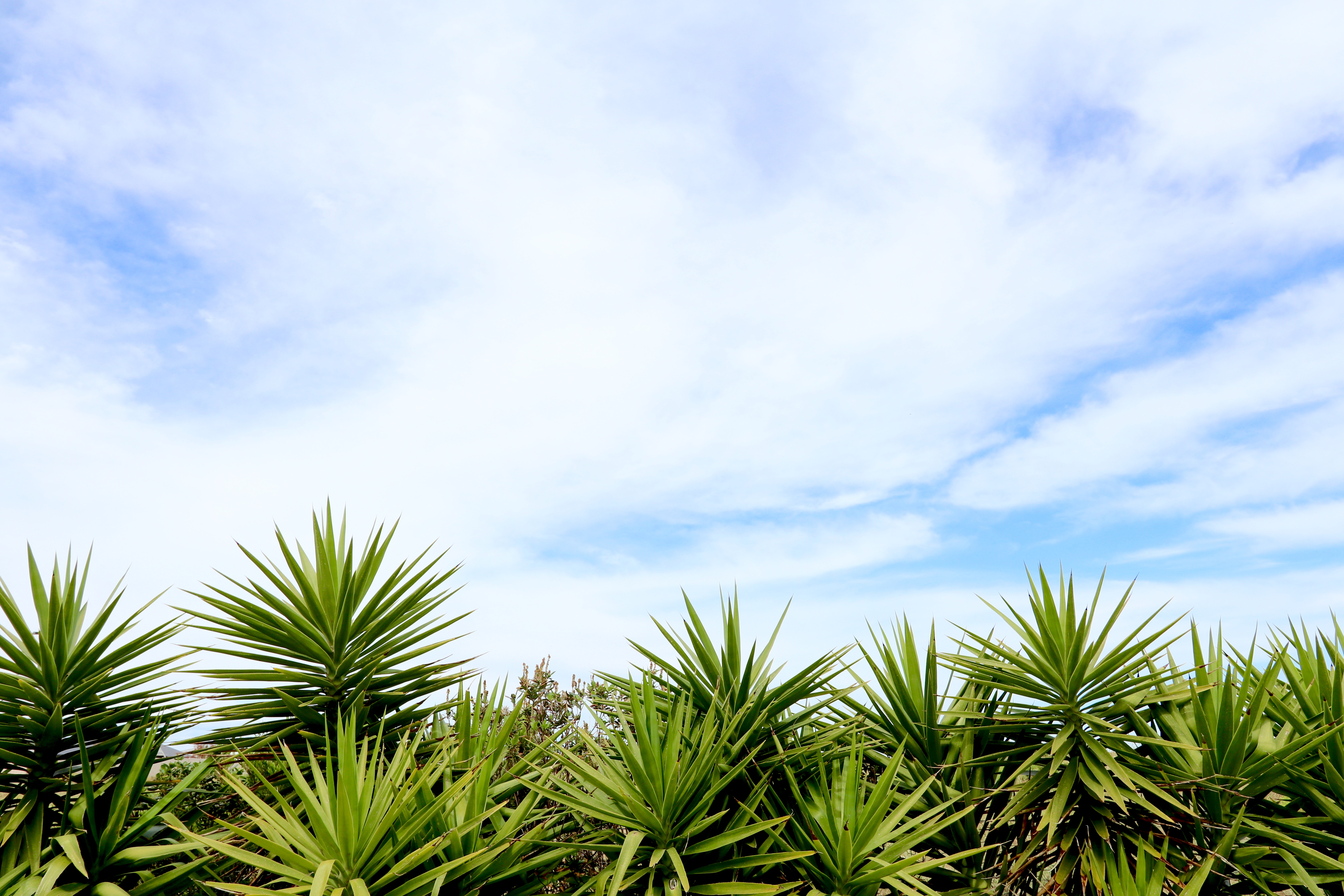 Robe, South Australia