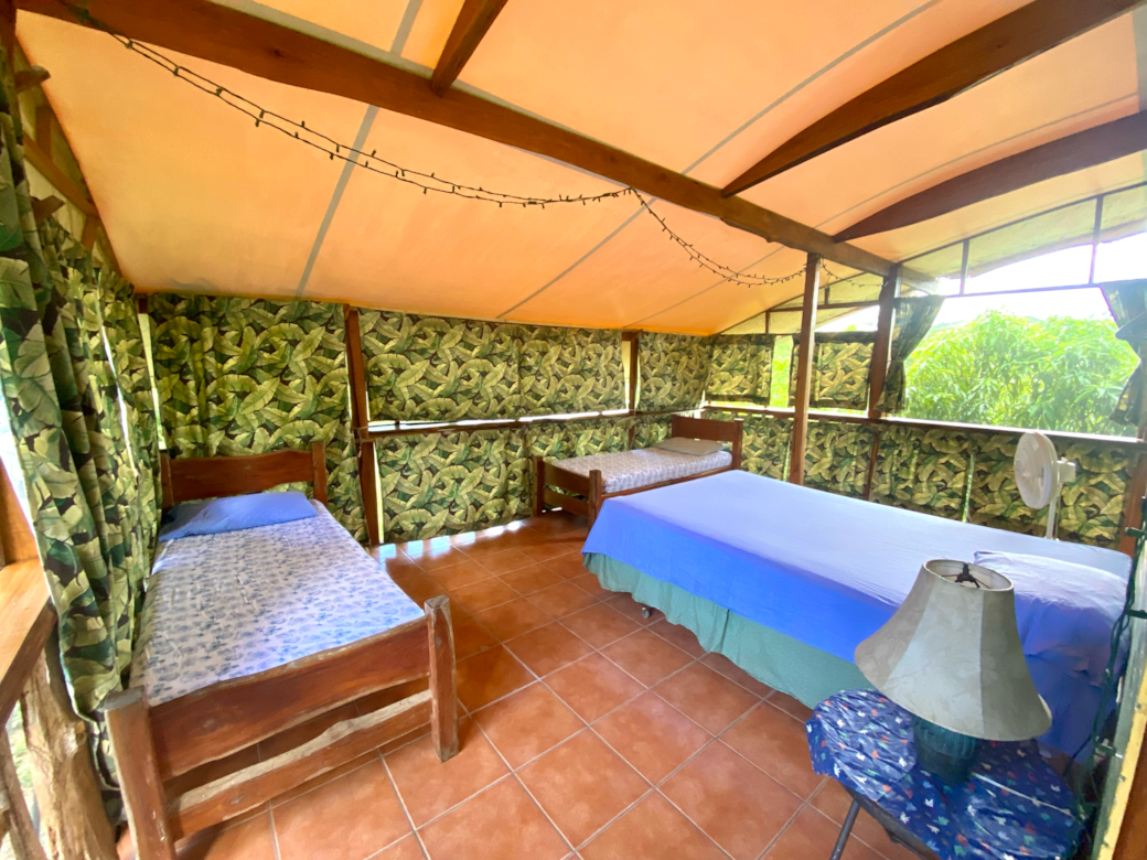Teak Beds (1 Queen, 2 Singles)