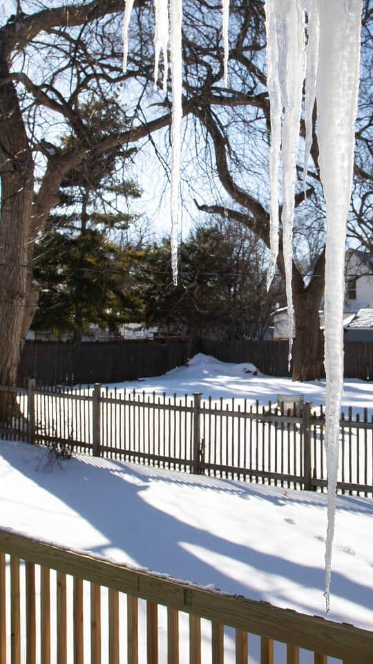 Back yard view after snow storm.