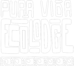Pura Vida Ecolodge
