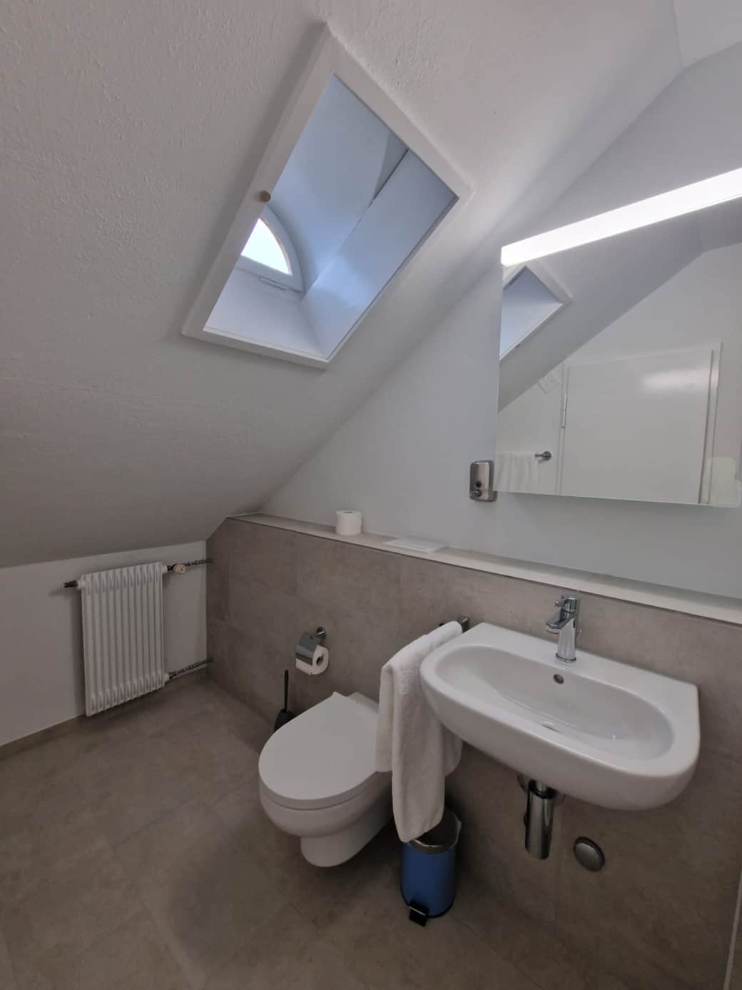 Badezimmer mit grosser Dusche und Fenster