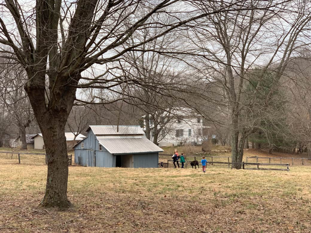 View from Top Pasture