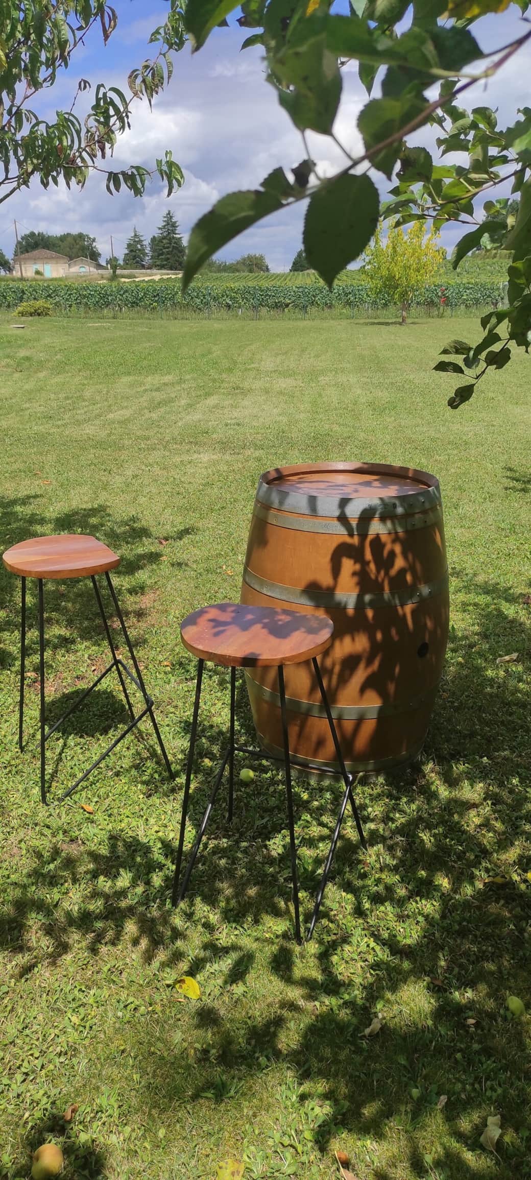 Petit coin détente apéro sous les arbres fruitiers