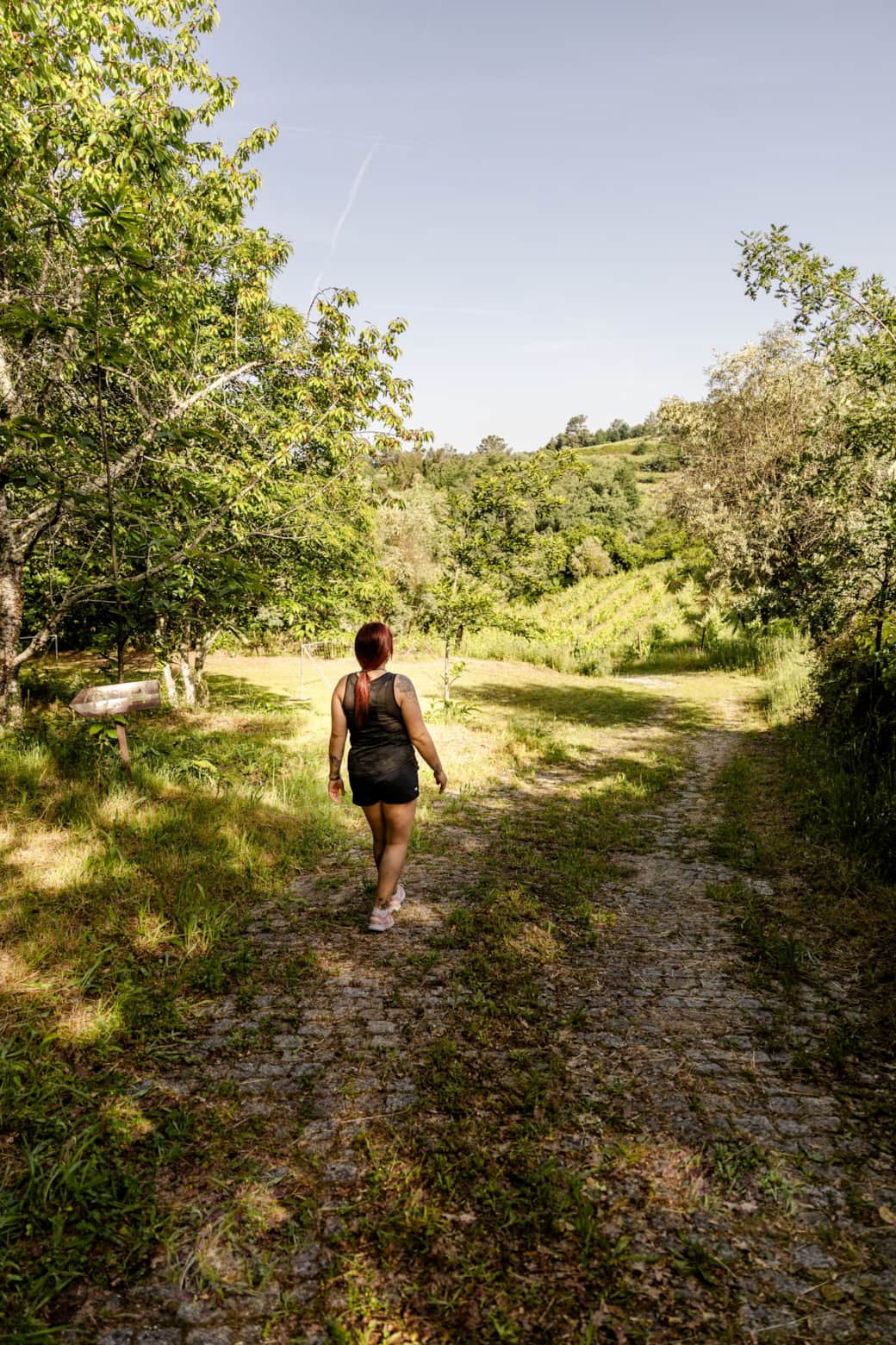 Wandelen naar kastanjeveld met uitzicht op onze wijngaard