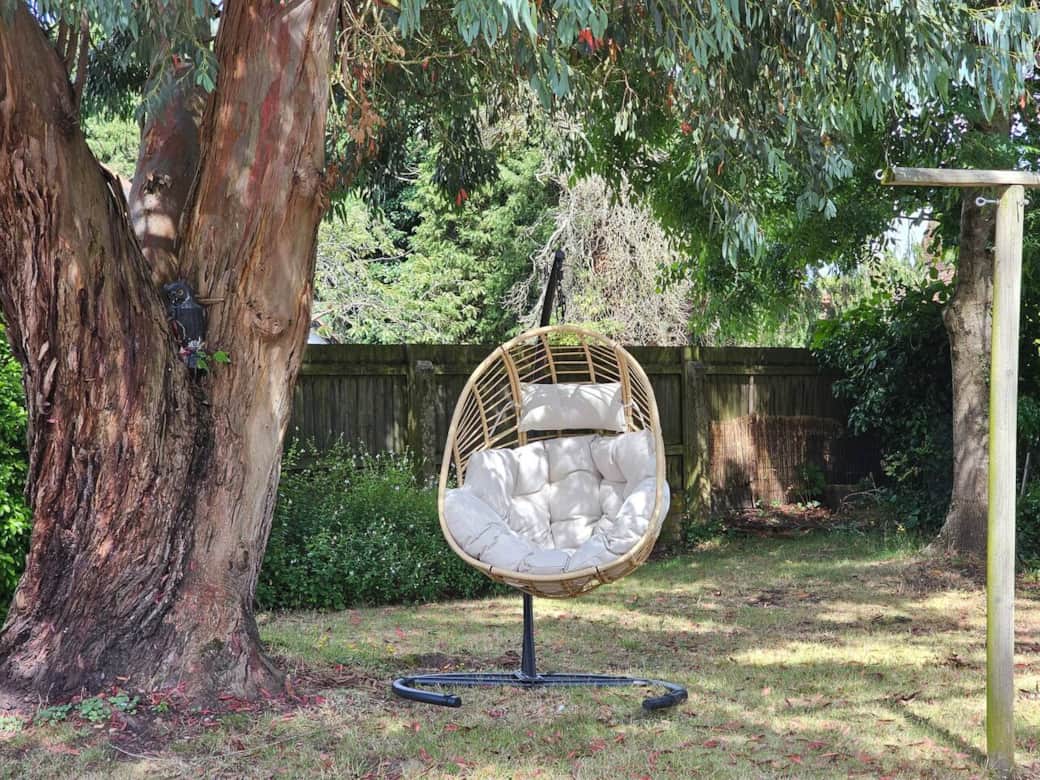 Comfortable egg chair to relax in the garden under the magnifcent eucalyptus tree