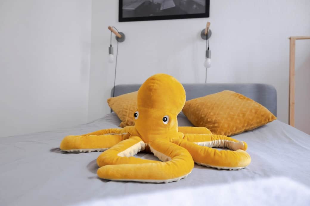 Appart Unique. Vichy. Appart. Hotel. Chez. Layette