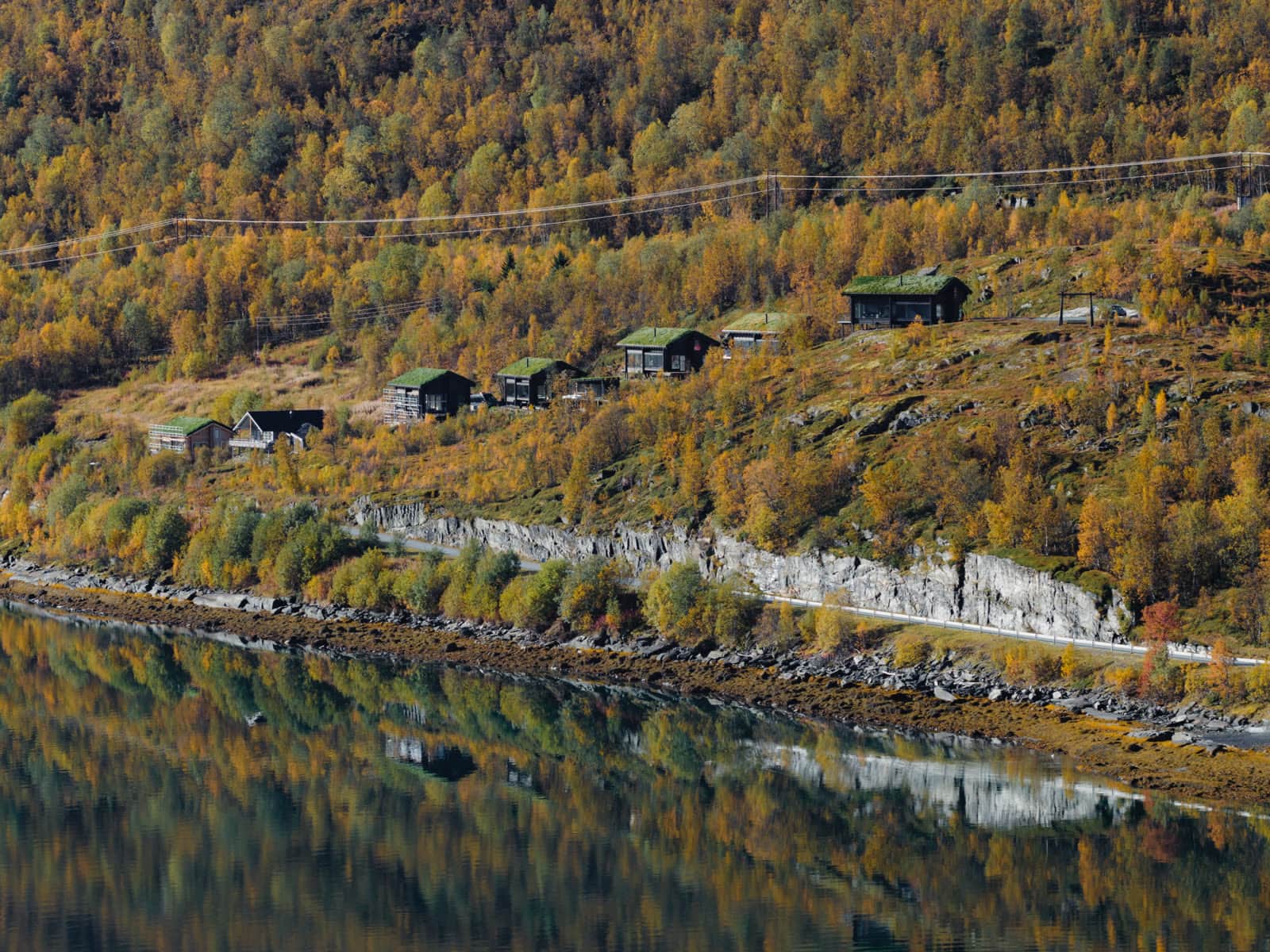 Die Blockhäuser am herbstlichen Hang über dem Ullsfjord