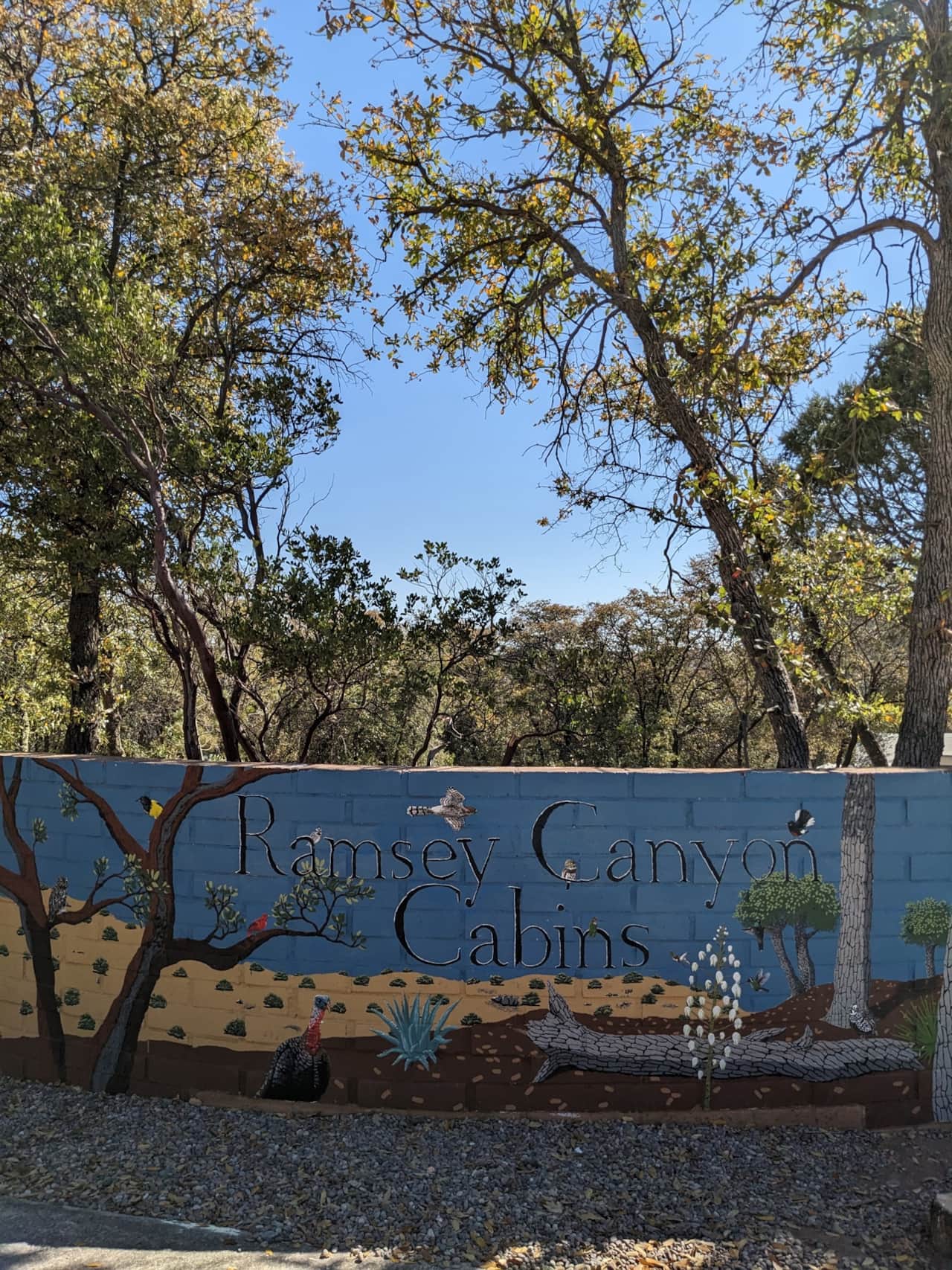 Our new main entrance mural.