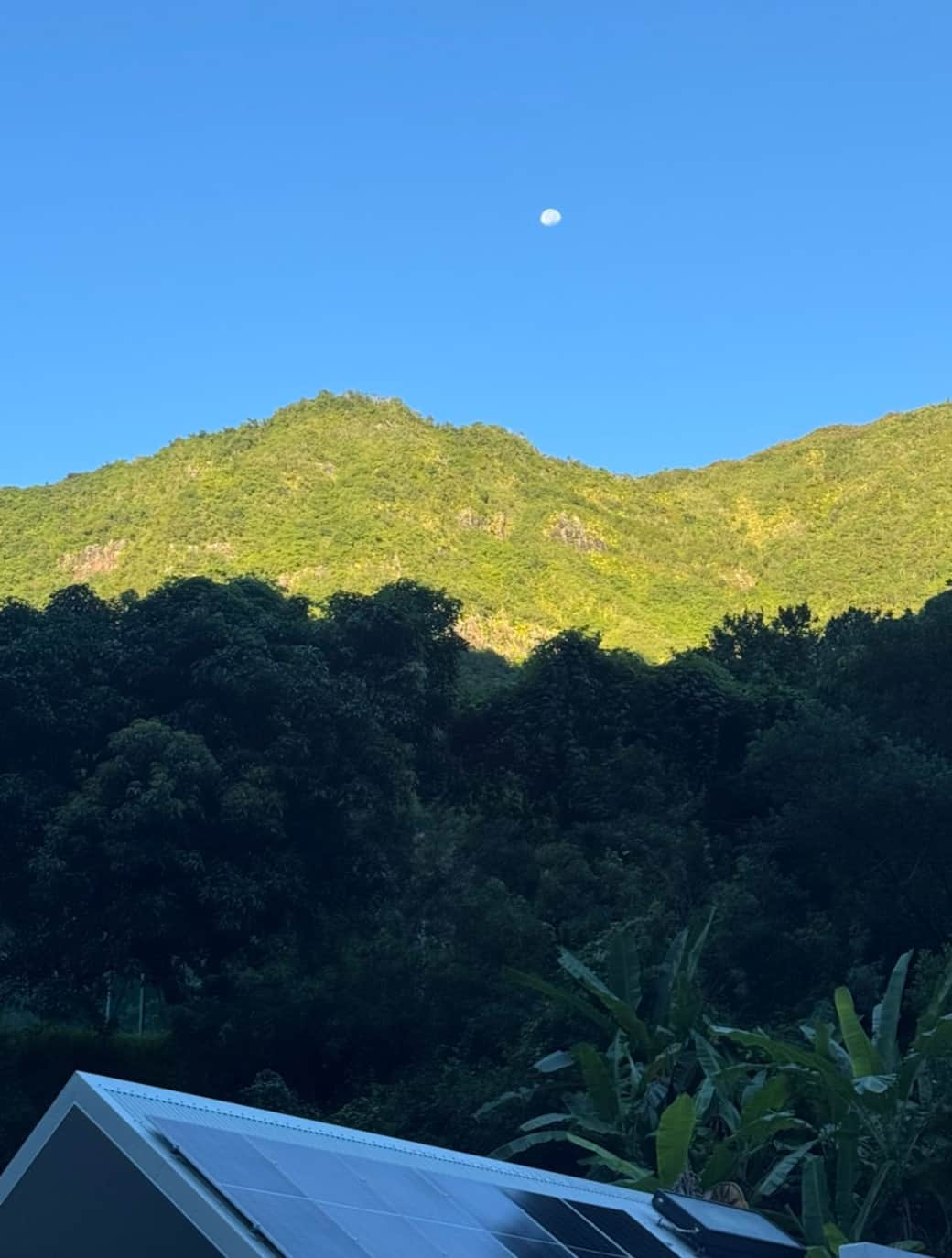 Lune petit serre jacuzzi