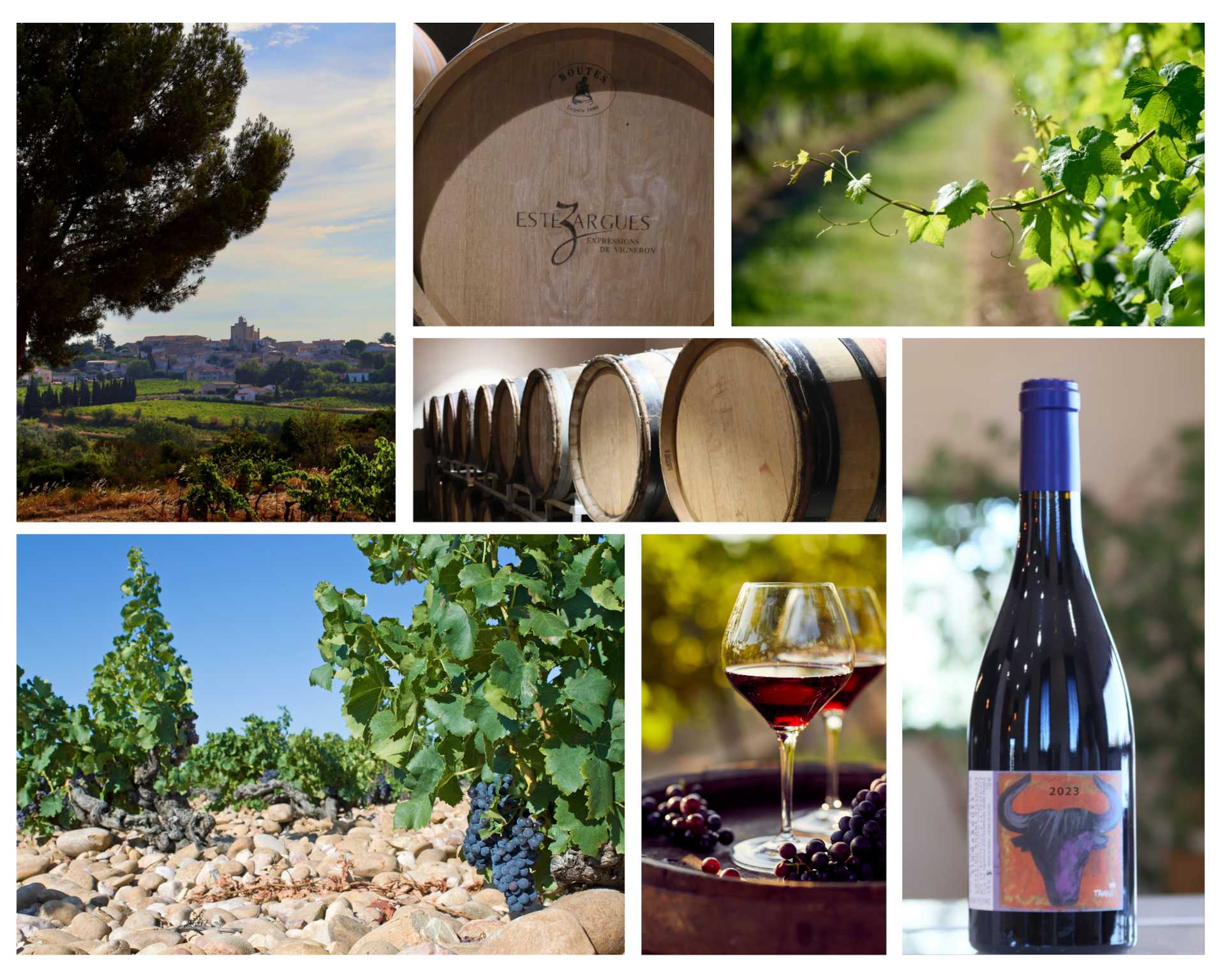 The Rhône Valley Wine Route The Rhône Valley Wine Route