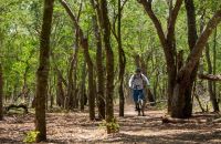 vététiste dans foret