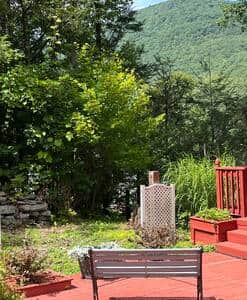 Mountain View From Lower Deck