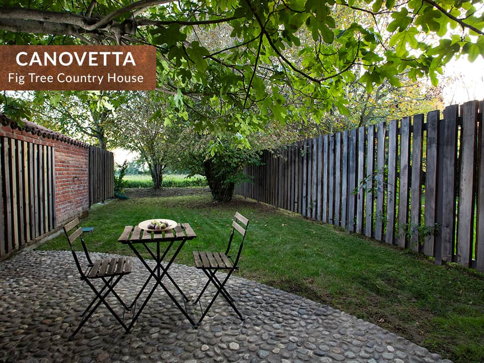 Canovetta fig tree contry house cremona 05 Canovetta fig tree contry house cremona 05