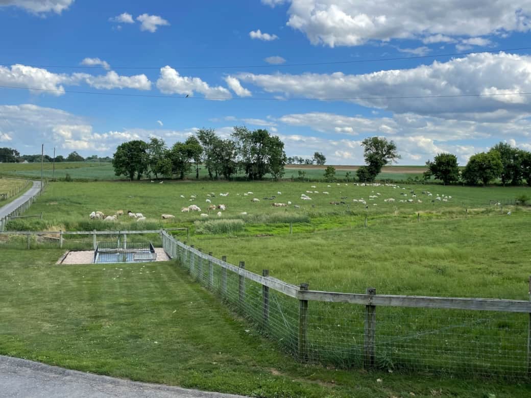We rotate sheep around the farm to different pastures so there may be a chance you’ll see sheep grazing on these pastures during your stay!