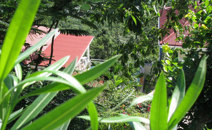 View of the secluded swimming pool.