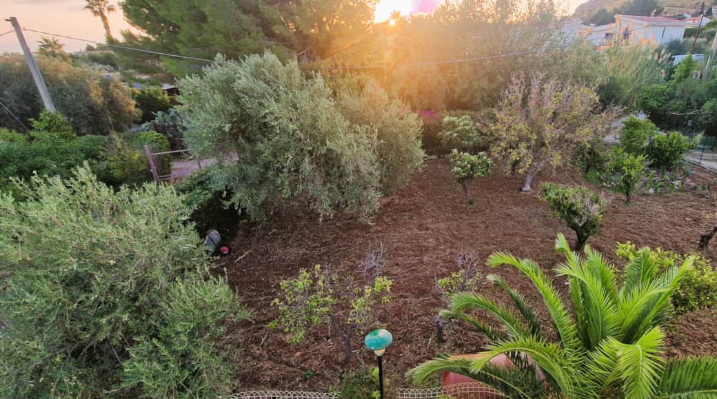 jardin au lever du soleil