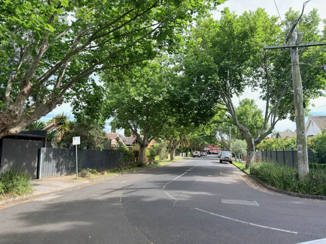 Beautiful Ripponlea Quat Quatta Avenue Photo Beautiful Ripponlea Quat Quatta Avenue Photo