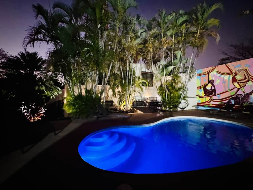 2025_LaCaminataDelMono (3) 2025_LaCaminataDelMono (3)