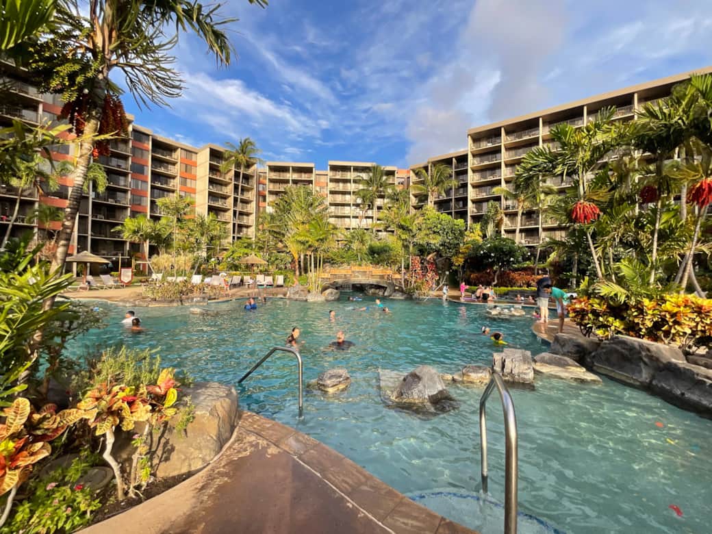 IMG_0576 2 copy IMG_0576 2 copy