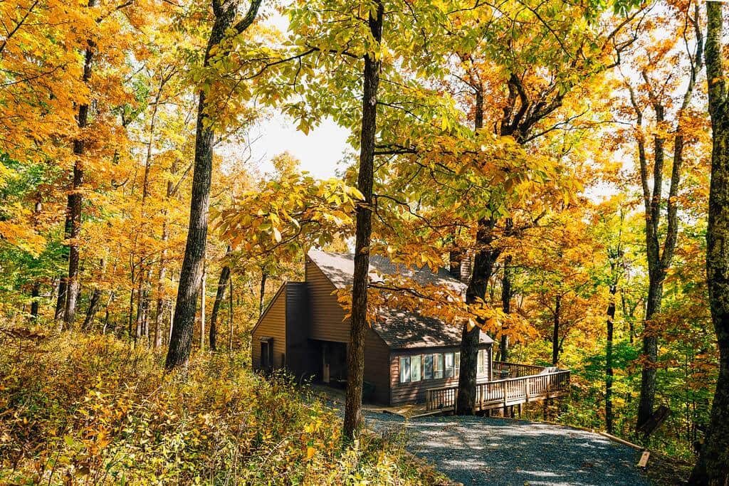 Fall Colors