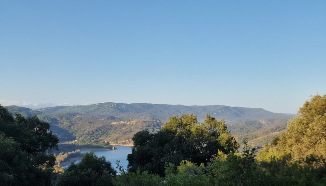 Generated image Generated image