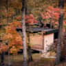 Rental image